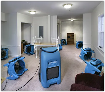 Mold Remediation & Removal in Center Point, AL
