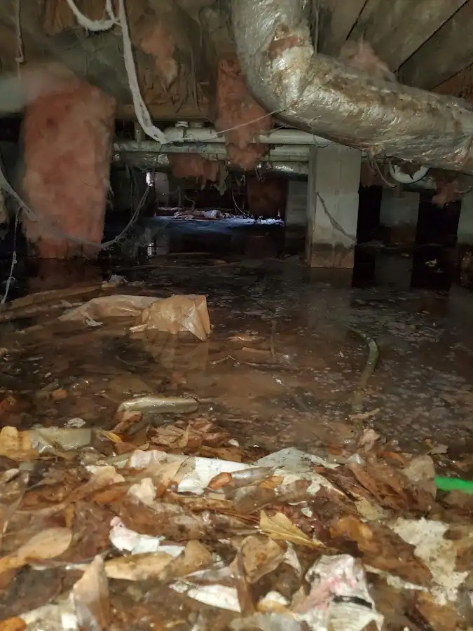 Crawl space flood assessment for Leak Detection & Repair in Center Point